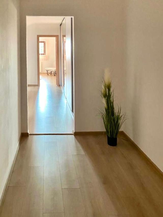 Casa Dima Ξενοδοχείο Κονστάντζα Εξωτερικό φωτογραφία